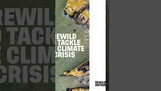 Rewild to tackle climate crisis #shorts