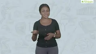 Origin Of History | History | SS3