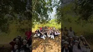 Save nature save forest save life #youtube #youtubeshorts #shortsfeed #shorts #youtubechannel #mp
