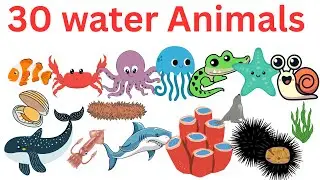 30 water animals Name  ||  Learn Sea Animals with Sounds | Kids Ocean Learning & Marine Vocabulary