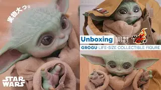 【実物大】グローグーが家にやって来た。| HotToys-ホットトイズ-