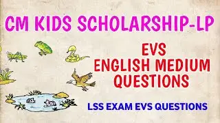 Вопросы по программе CM Kids Scholarship LP EVS на английском языке | Вопросы по программе LSS Ex...