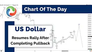 US Dollar Resumes Rally After Completing Pullback | TECHNICAL ANALYSIS | ELLIOTT WAVE FORECAST