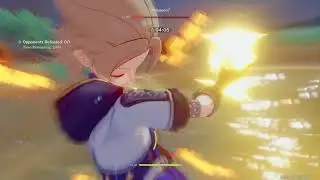 Attack Sands Vs. Defense Sands for Itto?