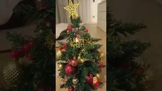 Mini-Weihnachtsbaum von Amazon 🌠🎄 so sch&ouml;n ist er! 💛 #amazonhaul  #weihnachtsdekoration