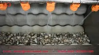 Clams Cleaning Machine Seafood Washer