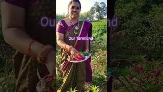 our farmland flowers #flowers #farming #farmer #village