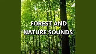 Dynamic Outdoor Nature Recording