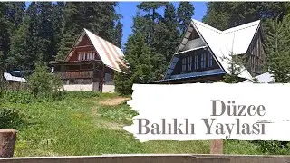 BALIKLI YAYLASI  - DÜZCE