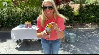 Fire Gone Set of (4) 16-oz Fire Suppressant Spray Cans on QVC