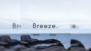Zabba & Nimuz - Breeze