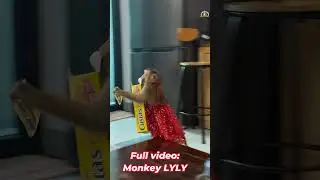 Monkey Lyly eats cake with great relish #shorts #youtubeshorts