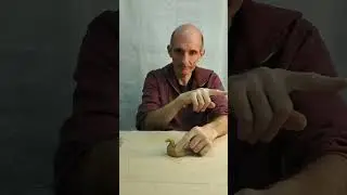 Intuitive Sculpture - Modeling animals 1 - Duck