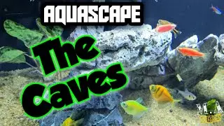 DIY Mini Aquascape Cave Style | Beginner [ MA#42 ]
