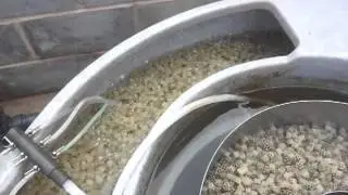 Nexus 200 air ring moving biochamber K1