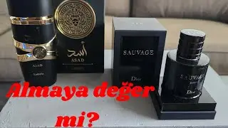 En iyi Dior Sauvage Elixir alternatifi  Lattafa Asad mı ? Almaya değer mi?