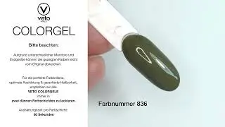 COLORGEL 836