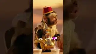 قهوة القرد تعدل الرأس والرد صادم! ☕🇸🇦