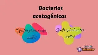 Metanog&eacute;nesis
