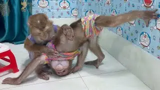 Sam boy takes care of the super cute Asher in the room