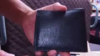 IL BISONTE