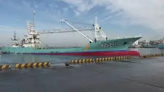 銚子漁港　第二の入港船