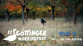 11. G&ouml;ttinger Workingtest 2022 - Teil 2. - Gut Herbigshagen