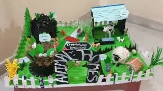 Animal Homes School Project #dhanya #Animal house project #different types of animal houses #den
