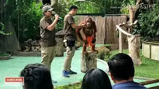 DAVAO CROCODILE PARK | ORANGE | DADDY UNO