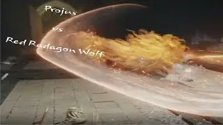 Projus vs Red Wolf of Radagon || Elden Ring