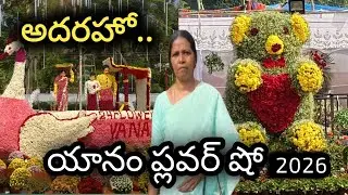 Yanam Flower Show 2026 | Yanam Flower Show | Village