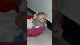 Little Janna Hungry She Call Mom Take Milk For Her #cute #viralvideo