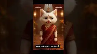 Hindi meme | kokila modi | Rasode me kon tha?  Funny Cat Animation