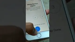 Кнопка &laquo;Домой&raquo; и тактильные ощущения на iPhone