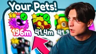 ЭТОТ ХАКЕР РАЗДАЕТ ЛУЧШИХ ПЕТОВ В PET SIMULATOR X ROBLOX! Стань читером в Пет Симулятор  Х Роблокс