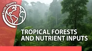 Rainfall delivers essential nutrients to tropical forests