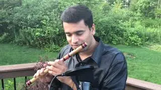 SUCKER - JONAS BROTHERS FLUTE COVER