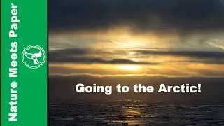Arctic Adventure! 2:1 Nature Meets Paper