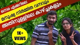കണ്ണൂരിലെ മനുഷ്യ നിർമ്മിത വനവും അതിനുള്ളിലെ കാഴ്ച്ചകളും | Man Made Forest in Kannur | Trip Meals