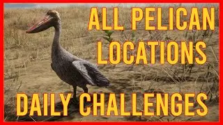 RDR2 Pelican Locations - Daily Challenges - Red Dead Online