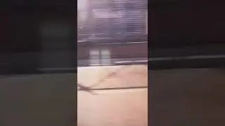 A LITTLE N￼OSCOPE￼