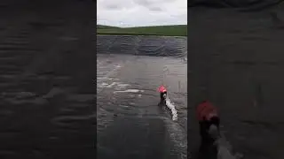 Stranraer Slurry Lagoon