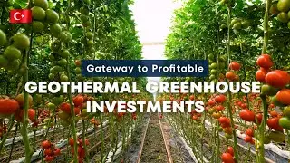Geothermal Greenhouse Investments: Gateway to Profitable ↗️ 🍅