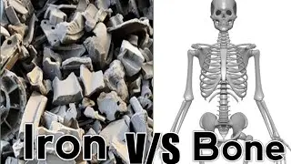 Iron V/S Bone | Mr.Facts Bro