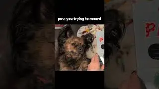 this is how every video really starts...