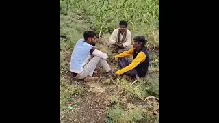 ಸಂಕ್ರಾಂತಿ ಹಬ್ಬದ ಶುಭಾಶಯಗಳು 