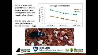 [Podcast] Untreated Cover Crop Seed Can Reduce Pest Pressure