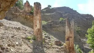Fossil Forests: Windows into Earth&rsquo;s Ancient Climates