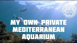 My own private mediterranean aquarium
