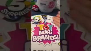 Toy Mini Brands Collector&rsquo;s Case Unboxing